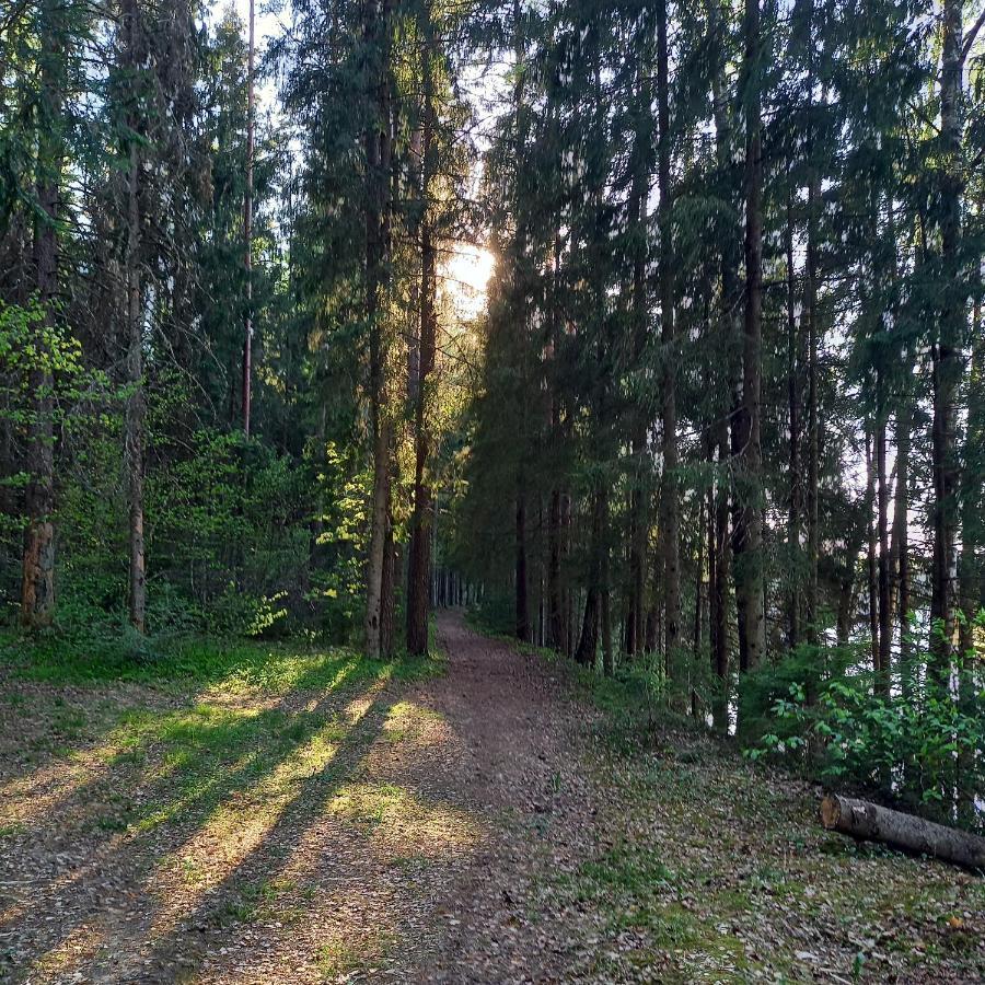 Appartamento Ozolu Gatve 2- No Cesim 7 Km Jānamuiža Esterno foto