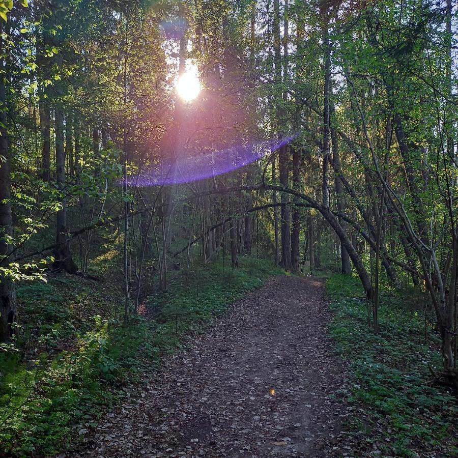 Appartamento Ozolu Gatve 2- No Cesim 7 Km Jānamuiža Esterno foto