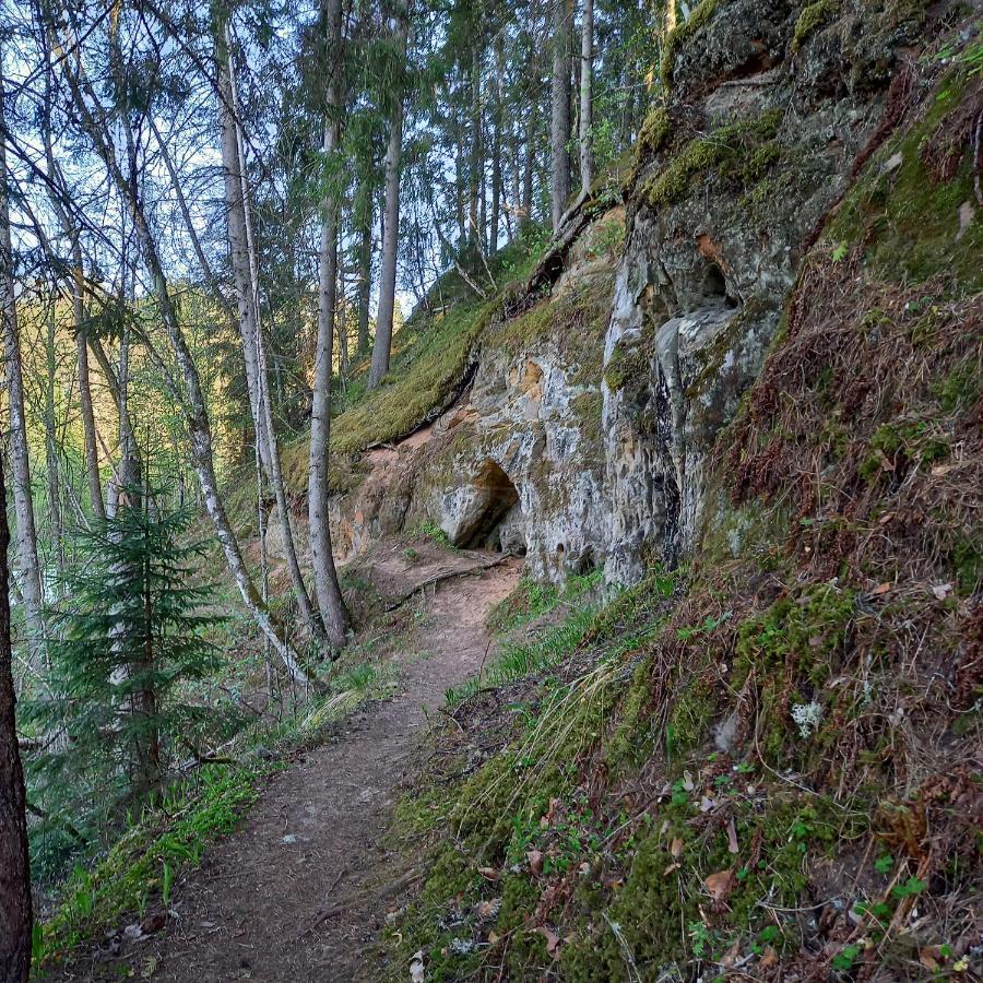 Appartamento Ozolu Gatve 2- No Cesim 7 Km Jānamuiža Esterno foto